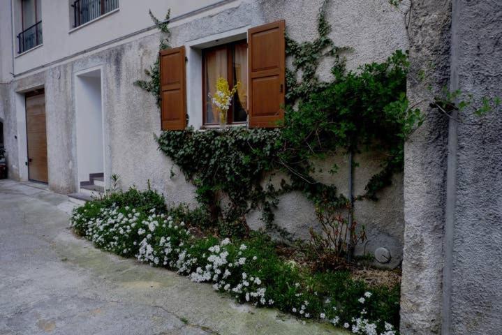 Appartamento Masi Lasino Esterno foto