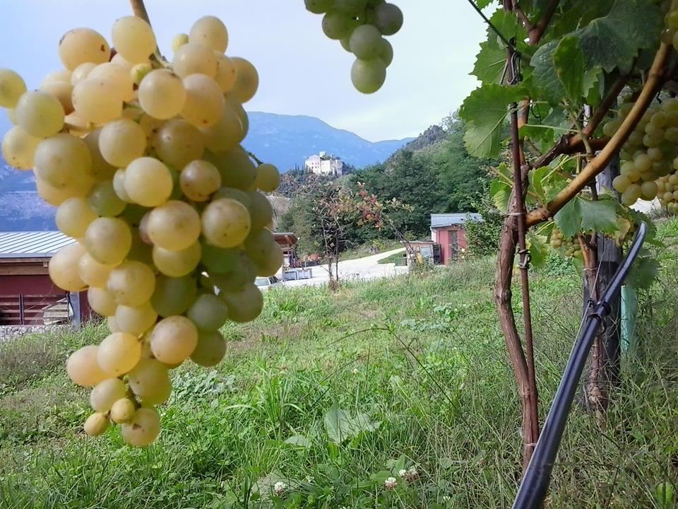 Appartamento Masi Lasino Esterno foto