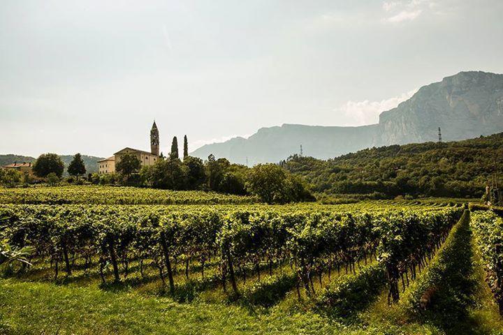 Appartamento Masi Lasino Esterno foto